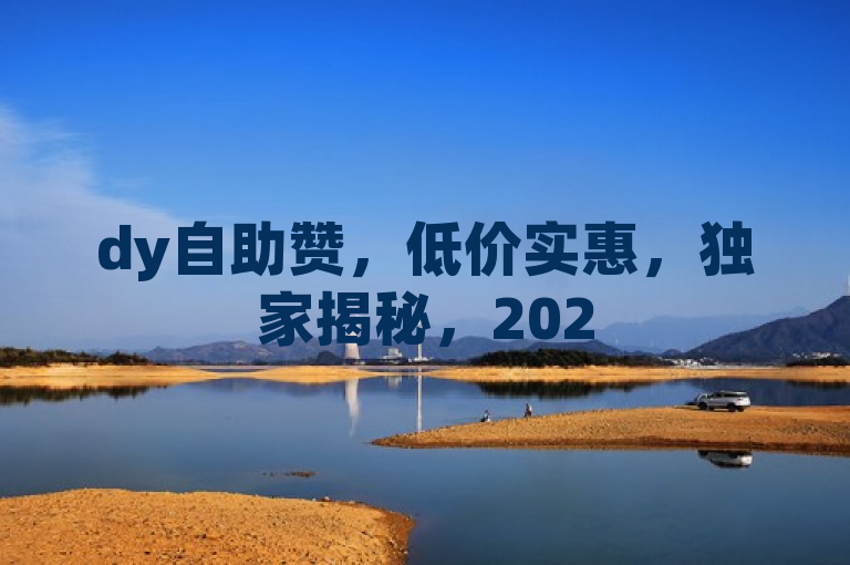 dy自助赞，低价实惠，独家揭秘，2025必学！
