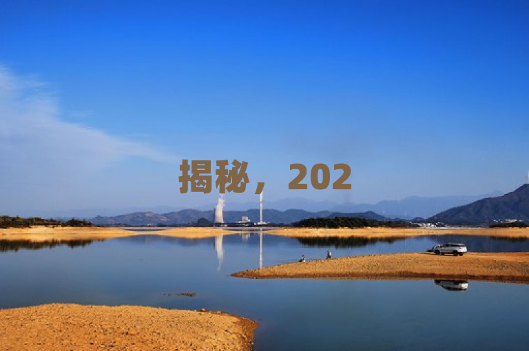 揭秘，2025年必学技巧，轻松将dy100粉丝增至900！