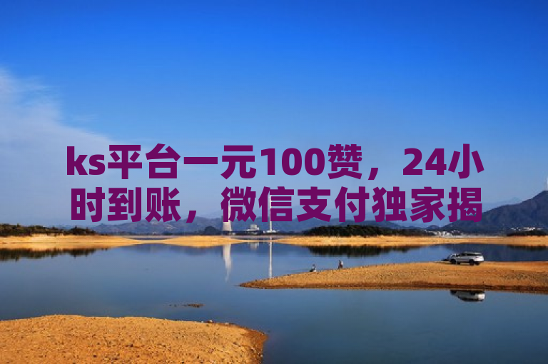 ks平台一元100赞，24小时到账，微信支付独家揭秘。