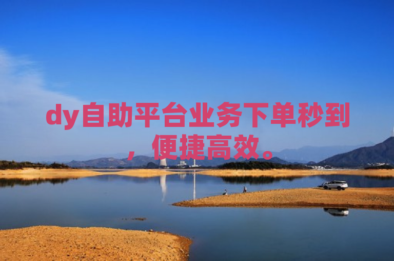 dy自助平台业务下单秒到，便捷高效。