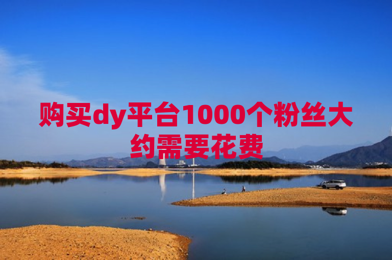 购买dy平台1000个粉丝大约需要花费50元，具体费用因市场波动而异。