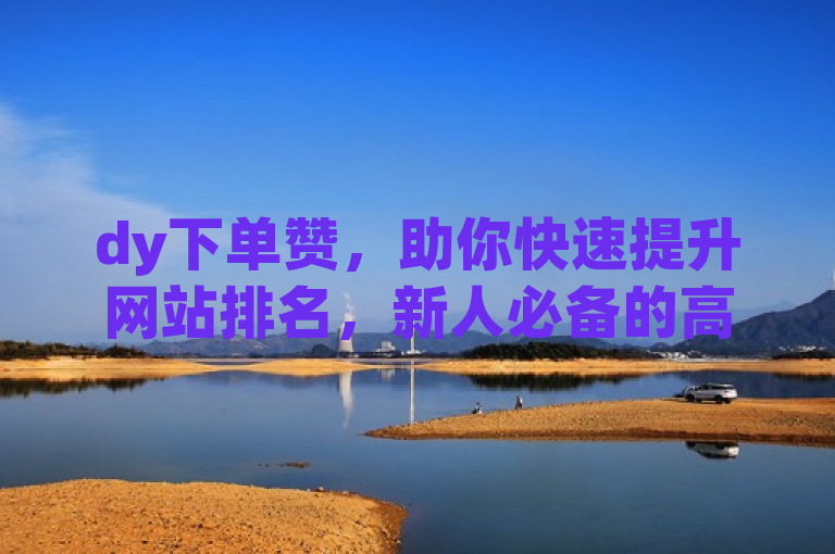 dy下单赞，助你快速提升网站排名，新人必备的高效策略！