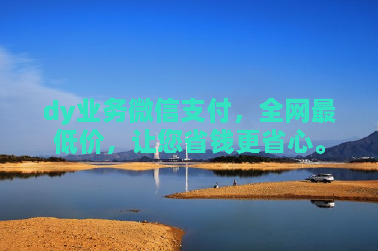 dy业务微信支付，全网最低价，让您省钱更省心。