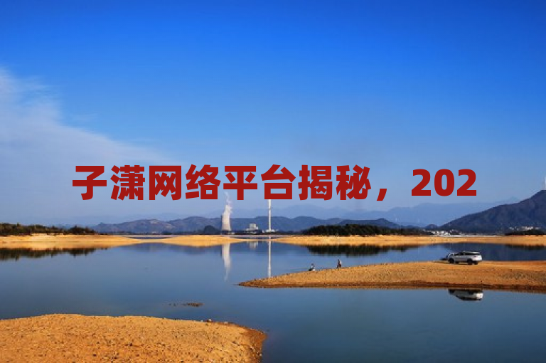 子潇网络平台揭秘，2025必学主流平台一览。