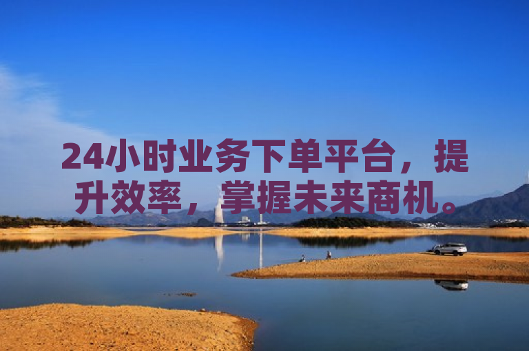 24小时业务下单平台，提升效率，掌握未来商机。