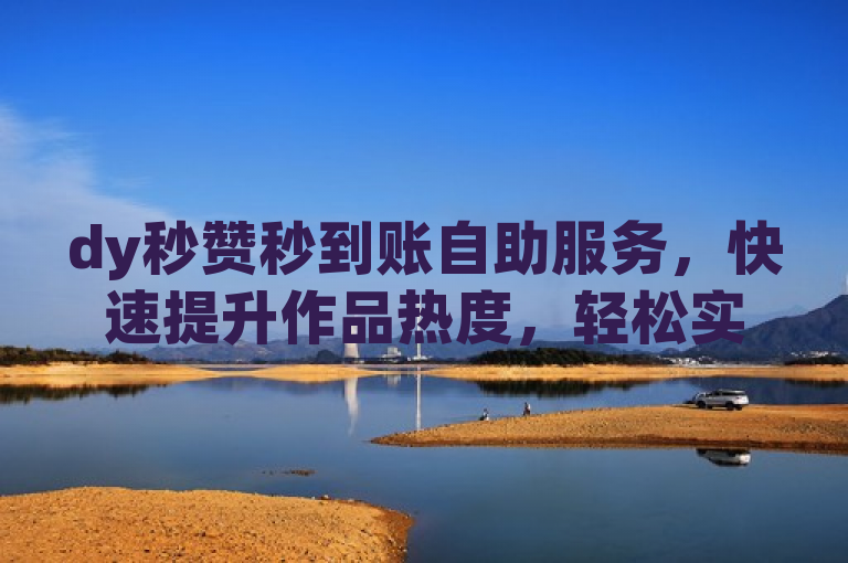 dy秒赞秒到账自助服务，快速提升作品热度，轻松实现点赞自助。
