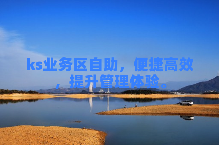 ks业务区自助，便捷高效，提升管理体验。