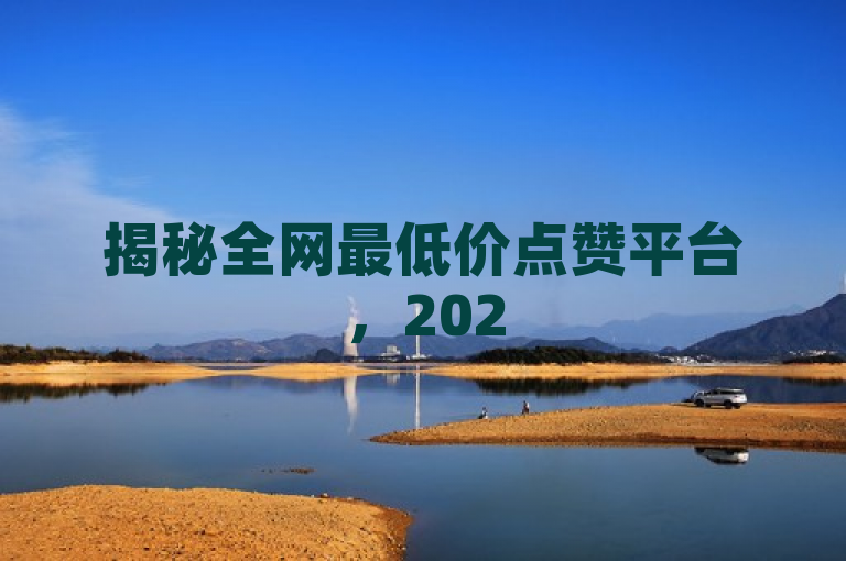 揭秘全网最低价点赞平台，2025必学低价空间说说服务！