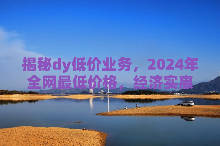 揭秘dy低价业务，2024年全网最低价格，经济实惠服务独家！