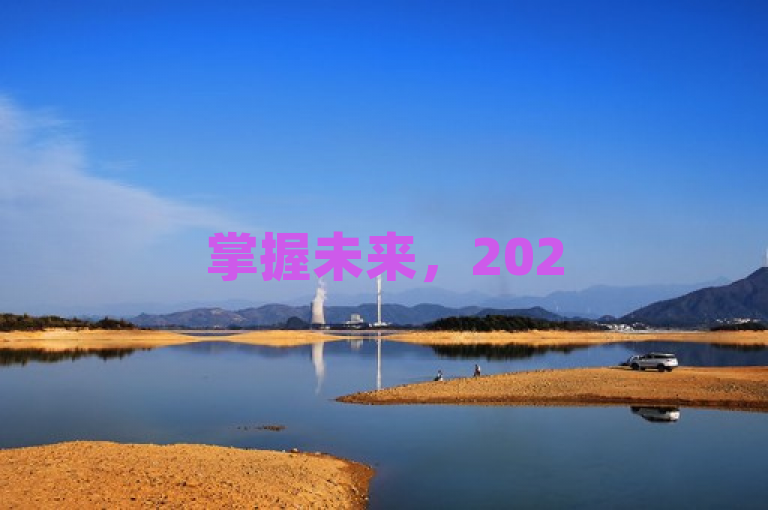 掌握未来，2025必备技能，王者科技自助平台，助您轻松应对挑战！