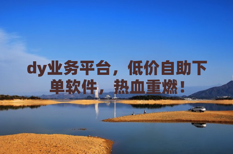dy业务平台，低价自助下单软件，热血重燃！