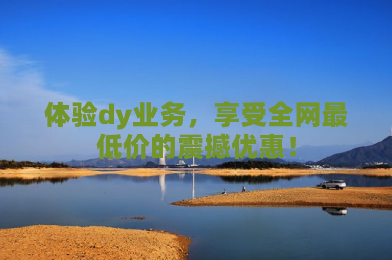 体验dy业务，享受全网最低价的震撼优惠！