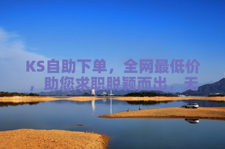 KS自助下单，全网最低价，助您求职脱颖而出，无忧成功！