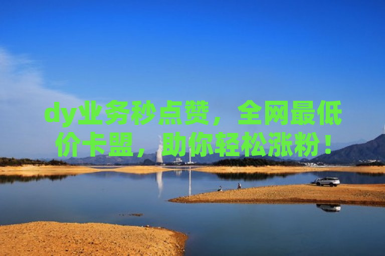 dy业务秒点赞，全网最低价卡盟，助你轻松涨粉！
