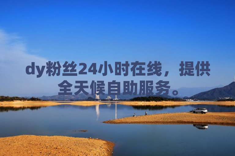 dy粉丝24小时在线，提供全天候自助服务。