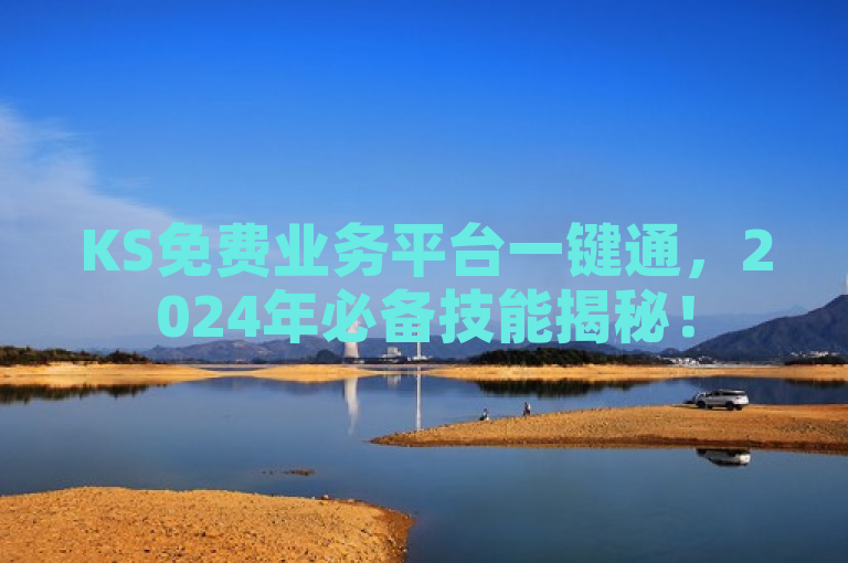 KS免费业务平台一键通，2024年必备技能揭秘！