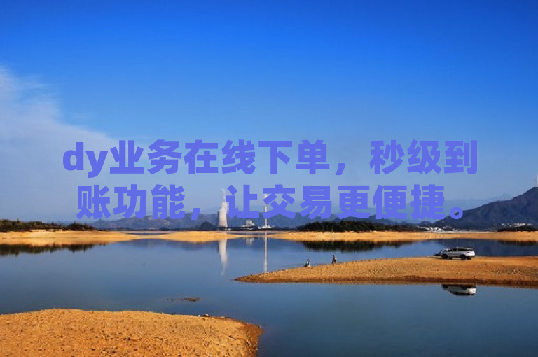 dy业务在线下单，秒级到账功能，让交易更便捷。