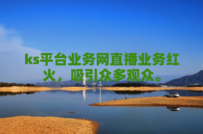 ks平台业务网直播业务红火，吸引众多观众。
