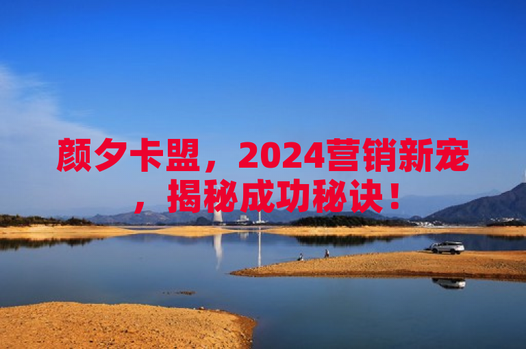 颜夕卡盟，2024营销新宠，揭秘成功秘诀！