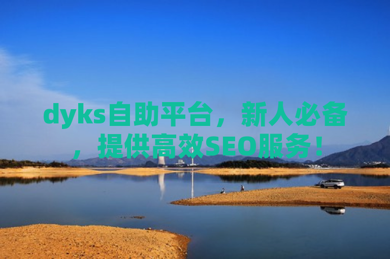 dyks自助平台，新人必备，提供高效SEO服务！