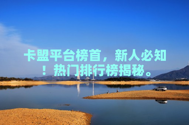 卡盟平台榜首，新人必知！热门排行榜揭秘。