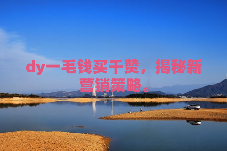 dy一毛钱买千赞，揭秘新营销策略。