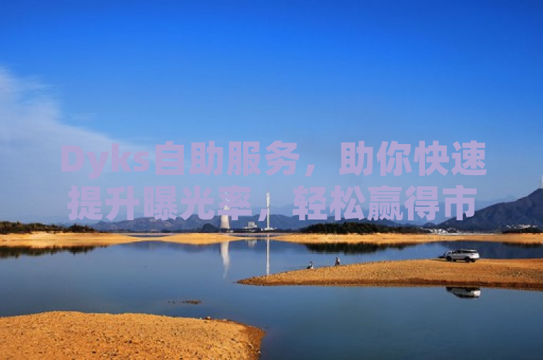 Dyks自助服务，助你快速提升曝光率，轻松赢得市场先机。