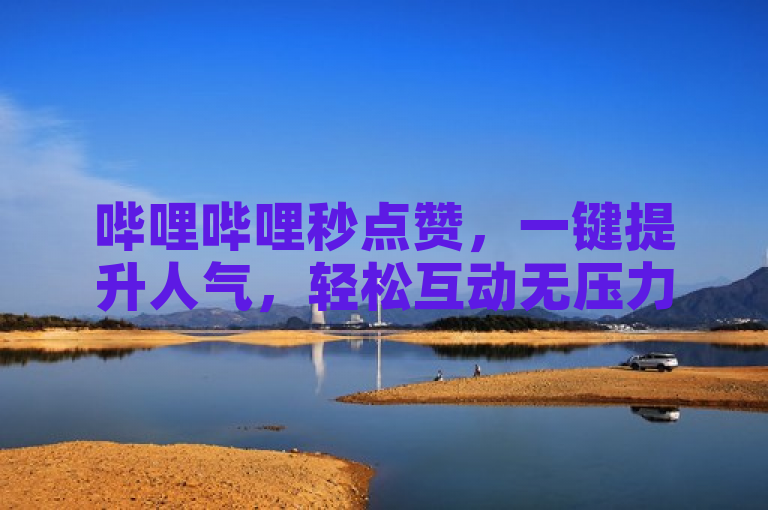 哔哩哔哩秒点赞，一键提升人气，轻松互动无压力。