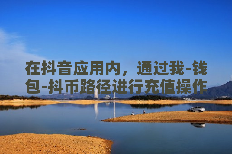 在抖音应用内，通过我-钱包-抖币路径进行充值操作。
