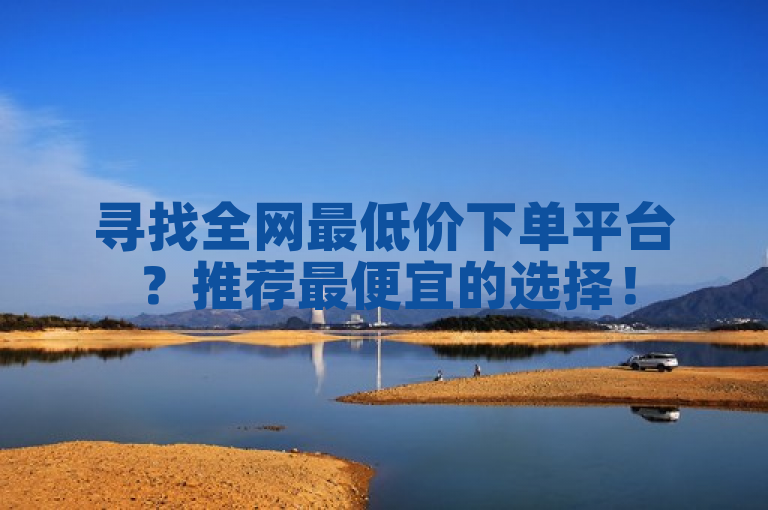 寻找全网最低价下单平台？推荐最便宜的选择！