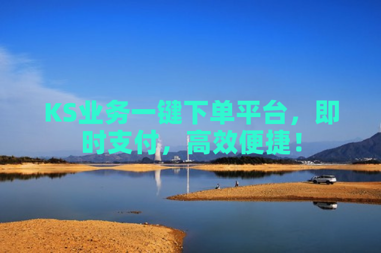 KS业务一键下单平台，即时支付，高效便捷！