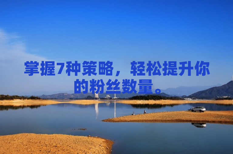 掌握7种策略，轻松提升你的粉丝数量。