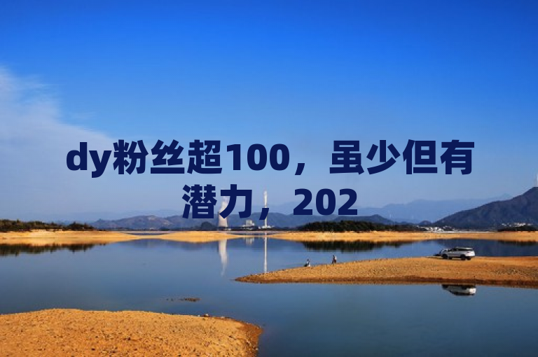 dy粉丝超100，虽少但有潜力，2025必学策略，助你粉丝翻倍！