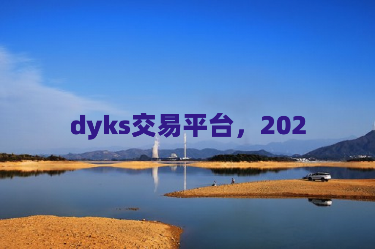 dyks交易平台，2025年，掌握新技能，实现快速成交！