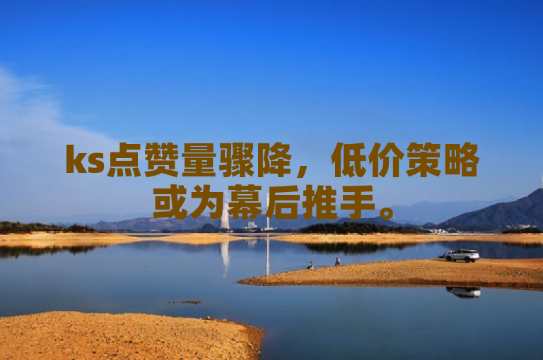 ks点赞量骤降，低价策略或为幕后推手。