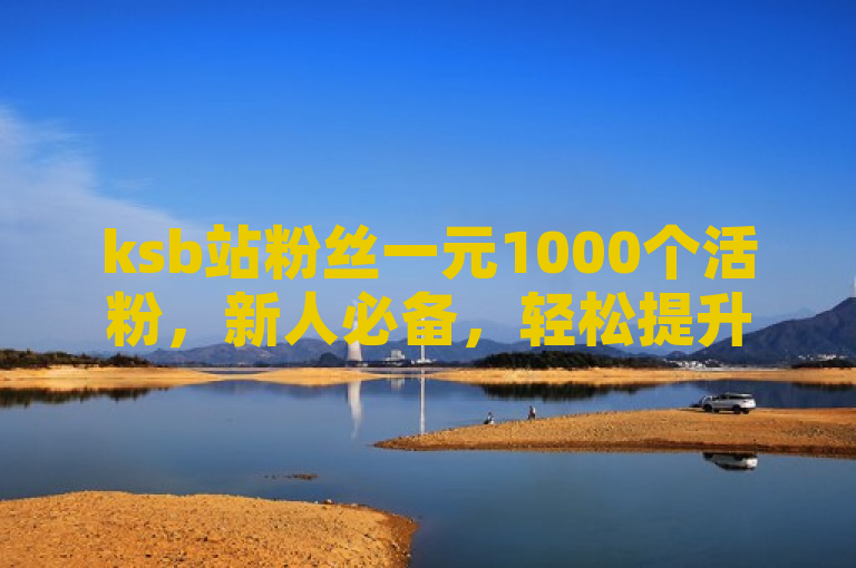 ksb站粉丝一元1000个活粉，新人必备，轻松提升人气！