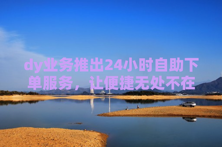dy业务推出24小时自助下单服务，让便捷无处不在。