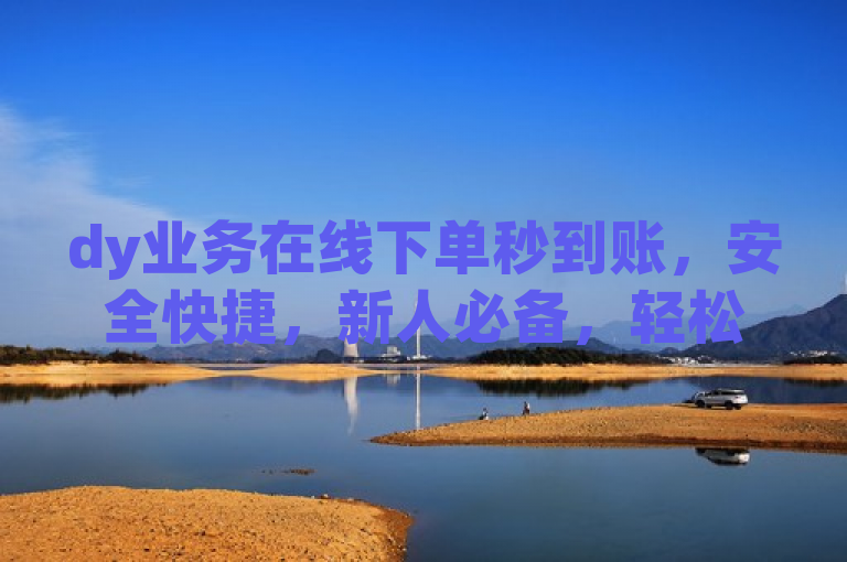 dy业务在线下单秒到账，安全快捷，新人必备，轻松享受即时支付！