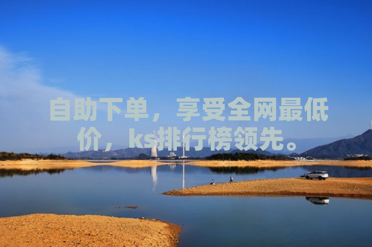 自助下单，享受全网最低价，ks排行榜领先。