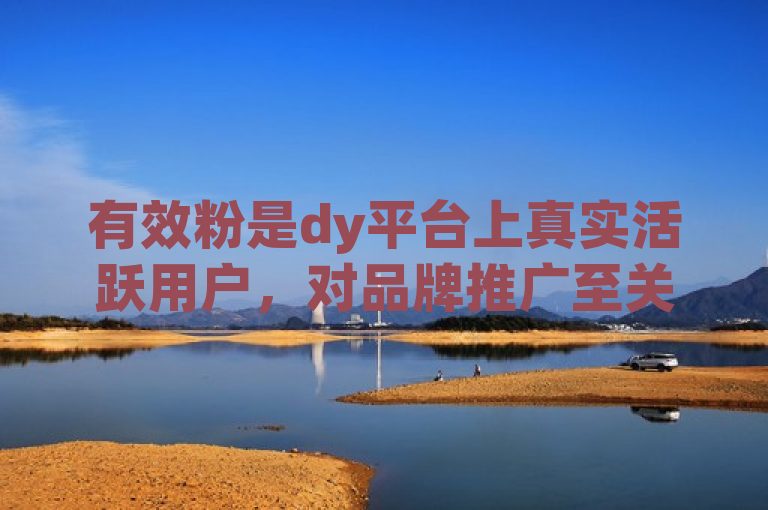 有效粉是dy平台上真实活跃用户，对品牌推广至关重要。