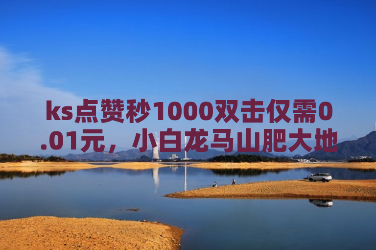 ks点赞秒1000双击仅需0.01元，小白龙马山肥大地房产装修业务在线平台。