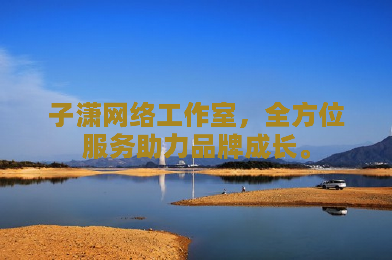 子潇网络工作室，全方位服务助力品牌成长。