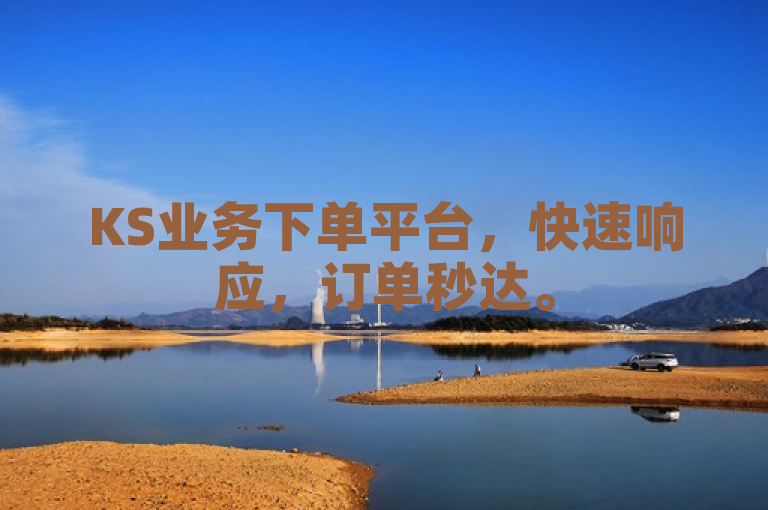 KS业务下单平台，快速响应，订单秒达。