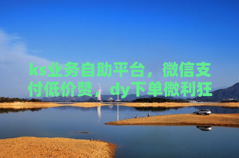 ks业务自助平台，微信支付低价赞，dy下单微利狂潮！