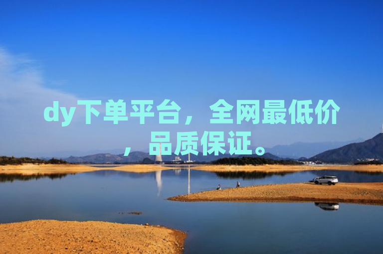 dy下单平台，全网最低价，品质保证。