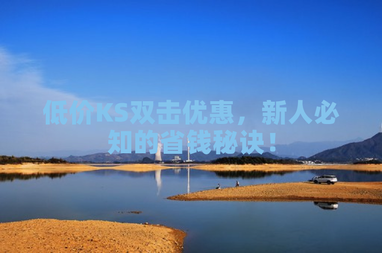 低价KS双击优惠，新人必知的省钱秘诀！