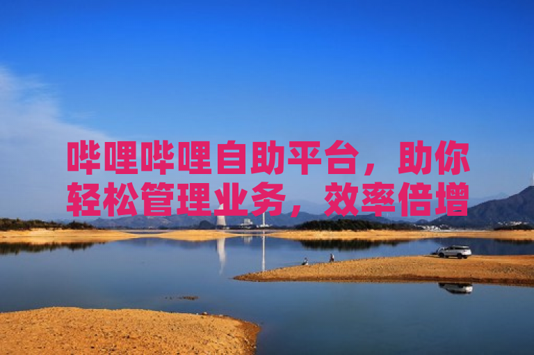 哔哩哔哩自助平台，助你轻松管理业务，效率倍增。