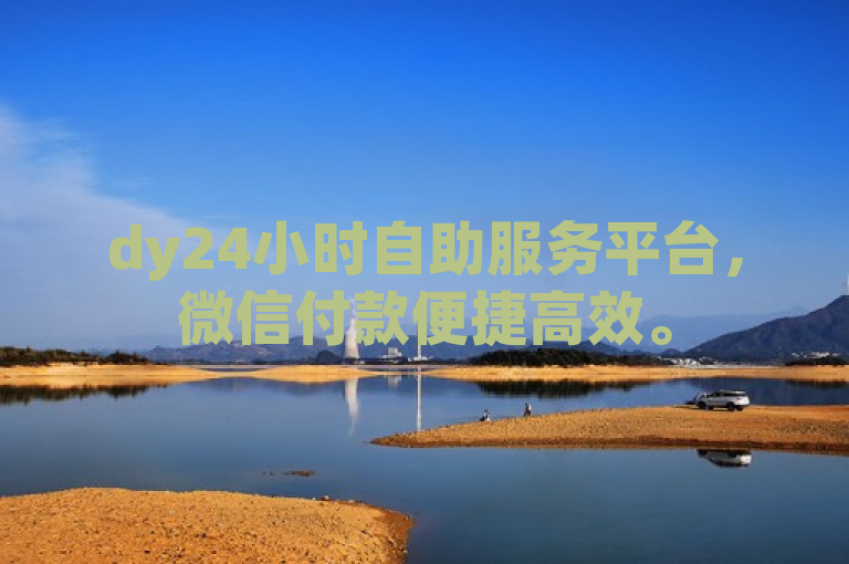 dy24小时自助服务平台，微信付款便捷高效。