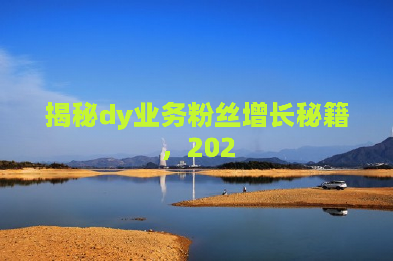 揭秘dy业务粉丝增长秘籍，2025必学策略，助你轻松增粉！