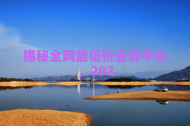 揭秘全网最低价业务平台，2025年必学的经济实惠服务选择！